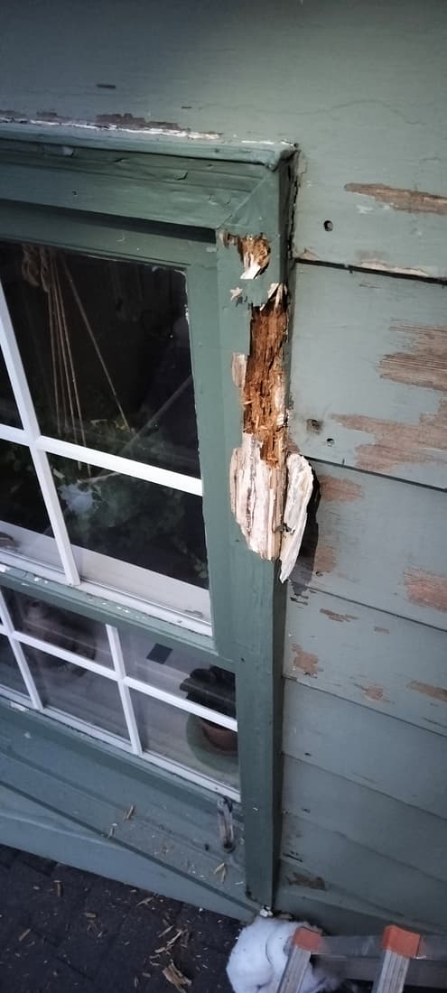 Rotted window casing at the corner board.
