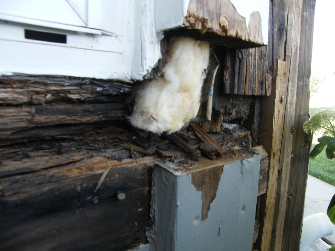 Further along the same sill: the timber gone punky, with the insulation open to the weather.