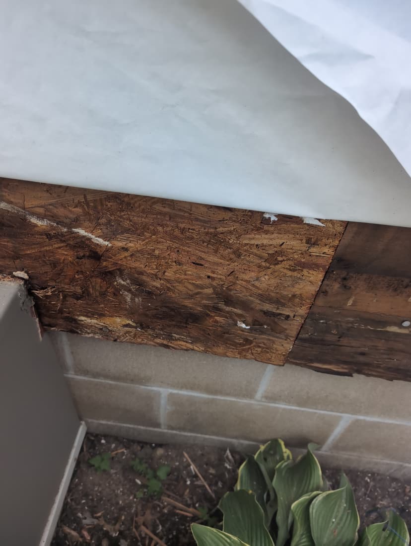 Water staining at the sill plate, found with the wrap pulled back.