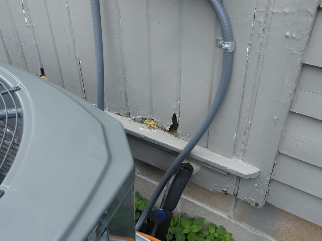 The foot of the old board siding on the north wall, rotted through beside the service line.