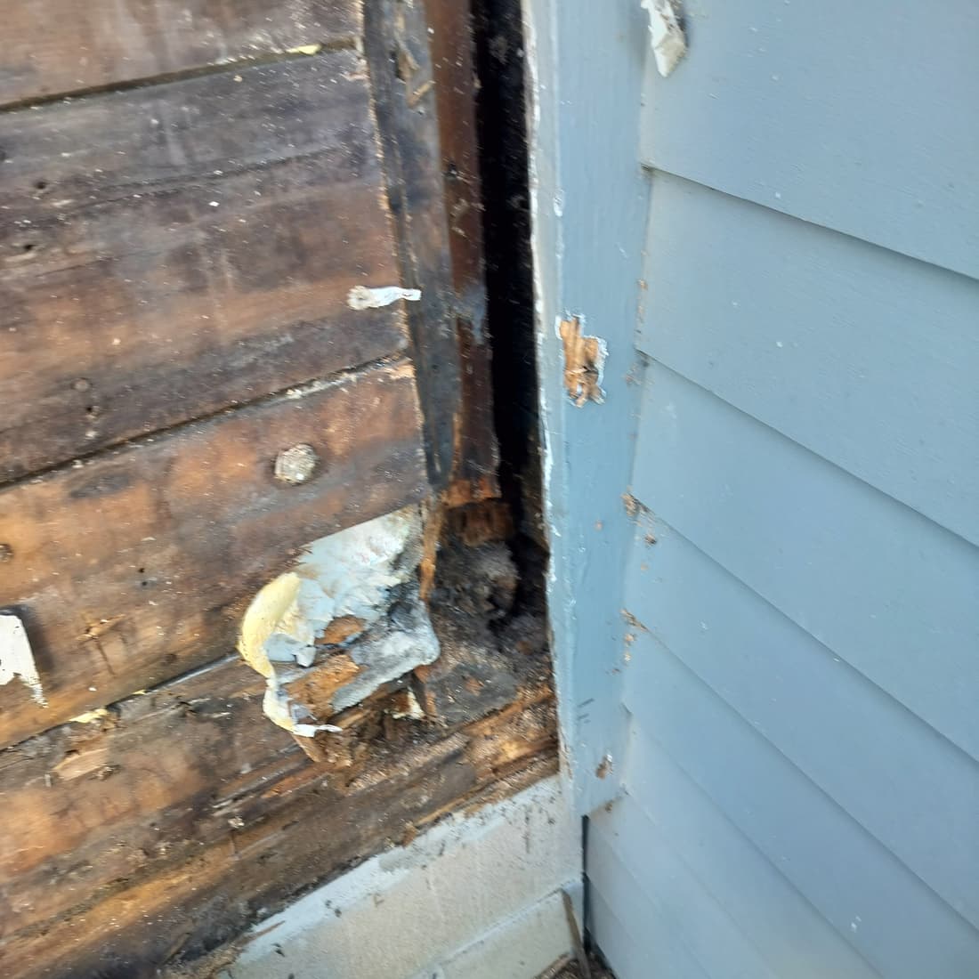 The north-west corner opened up: the corner post black and soft behind the siding.