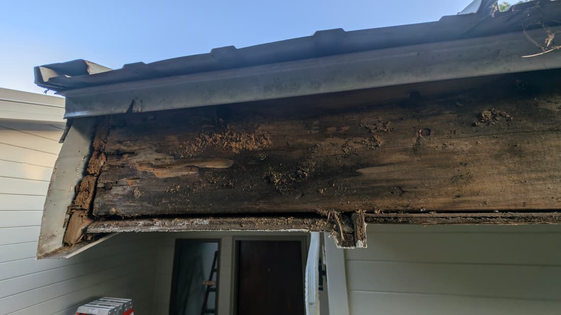Fascia rotted through, exposed with the gutter off.
